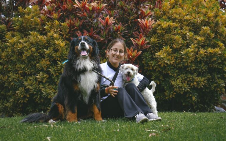 Hotel para cães: preços e o que considerar antes