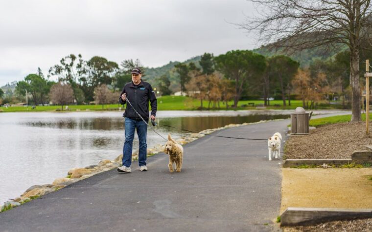 Dog walker (passeador de cães): quanto custa o serviço