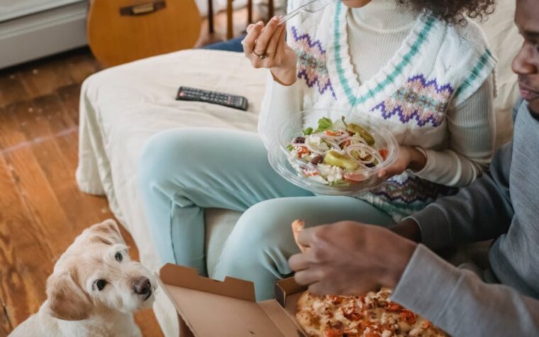 Alimentação natural para cães: guia para iniciantes