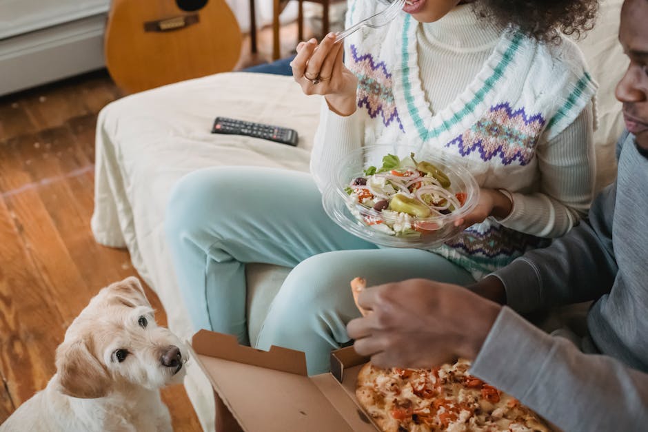 Alimentação natural para cães: guia para iniciantes